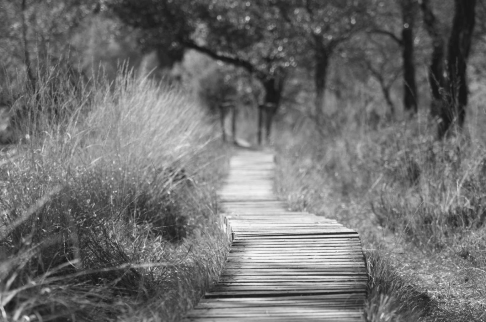 Decision frameworks under pressure